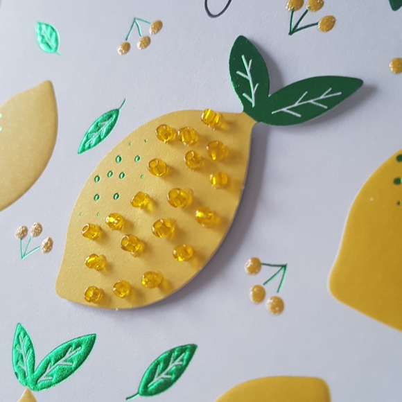 2 pcs C R Gibson Luxury Card Citrus Thank You Card (1 Card with Envelope) - Picture 9 of 10